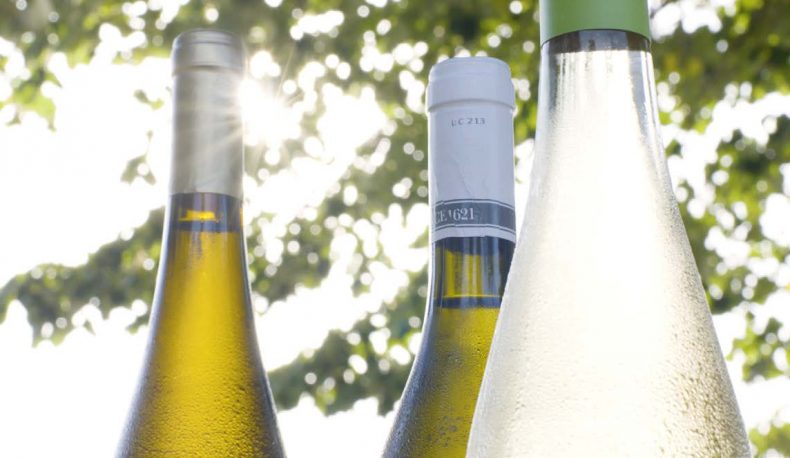 vinhos2-790x458-1-1
