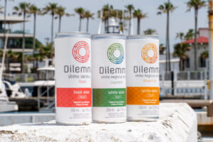 dilemma_category